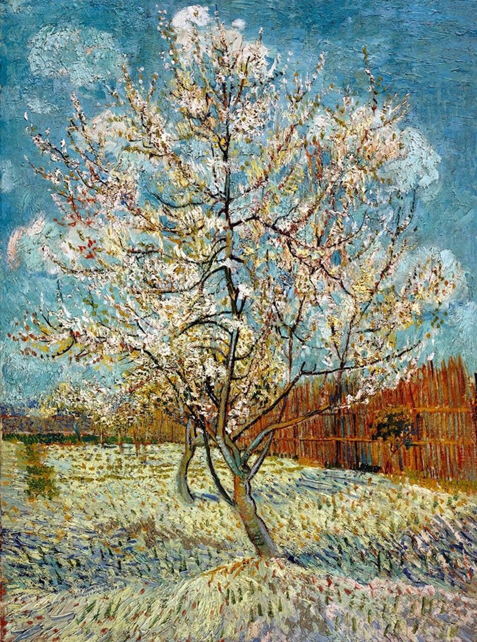 The Pink Peach Tree 1888 Poster Print by Vincent Van Gogh - Item # VARPDX374567